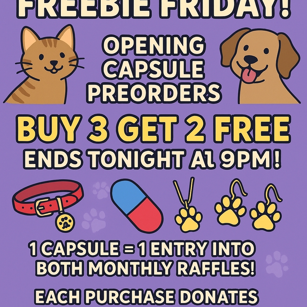 Pet Accessories Bundle